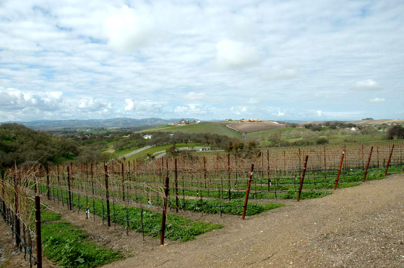 members_view